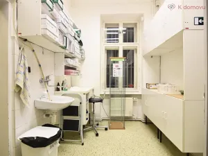 Pronájem obchodního prostoru, Brno, Pekařská, 140 m2