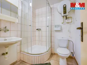 Prodej ubytování, Varvažov - Štědronín-Plazy, 1058 m2