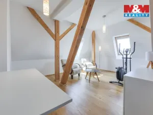 Pronájem bytu 3+1, Plzeň - Jižní Předměstí, Erbenova, 140 m2