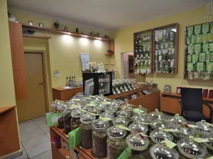 Pronájem obchodního prostoru, Beroun - Beroun-Centrum, Slapská, 68 m2