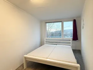 Pronájem bytu 4+kk, Most, Javorová, 83 m2