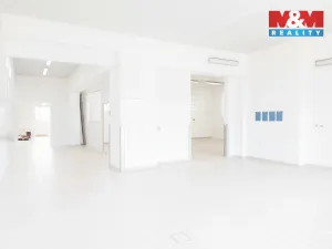 Pronájem skladu, Nymburk, Jičínská, 249 m2