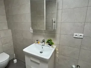 Pronájem bytu 2+kk, Rostěnice-Zvonovice, 52 m2