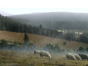 Prodej rodinného domu, Ostružná, 45 m2