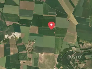 Prodej pole, Černuc, 7167 m2