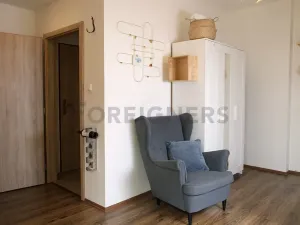 Pronájem bytu 1+kk, Praha - Žižkov, Na chmelnici, 26 m2