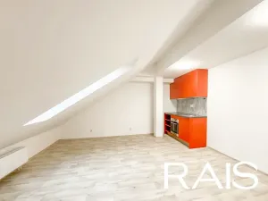Pronájem bytu 1+kk, Brno, 41 m2