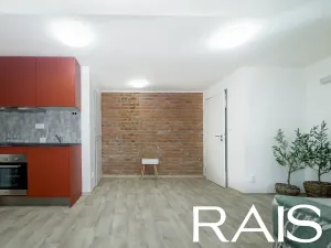 Pronájem bytu 1+kk, Brno, 41 m2