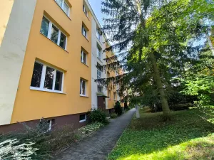 Pronájem bytu 1+1, Děčín, Kamenická, 36 m2