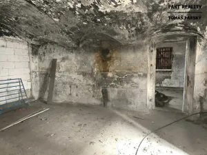 Prodej vícegeneračního domu, Děčín, Litoměřická, 250 m2