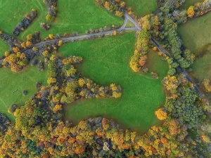 Prodej louky, Stvolínky, 37129 m2