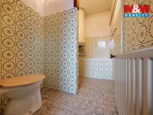 Prodej rodinného domu, Dzbel, 195 m2