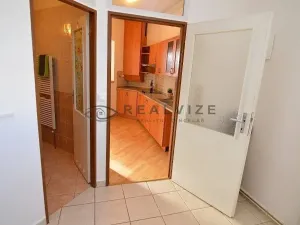 Pronájem bytu 1+kk, České Budějovice, K. V. Raise, 52 m2