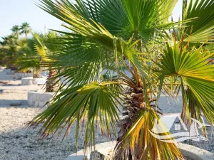 Prodej bytu 4+kk, Privlaka, Chorvatsko, 99 m2