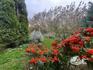 Prodej bytu 2+kk, Sveti Vlas, Bulharsko, 59 m2