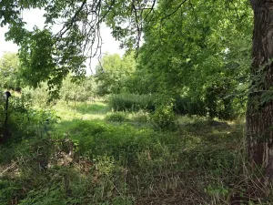 Prodej rodinného domu, Víceměřice, 210 m2