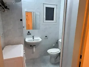 Pronájem bytu 1+kk, Praha - Braník, Pod vinohradem, 27 m2