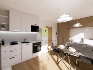 Prodej bytu 1+kk, Lipník nad Bečvou, Mánesova, 25 m2