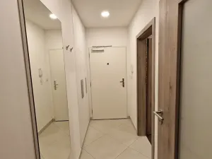 Pronájem bytu 1+kk, Praha - Vršovice, Novgorodská, 30 m2