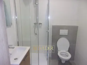 Pronájem rodinného domu, Proboštov, Meziškolská, 100 m2