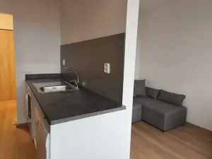 Pronájem bytu 1+kk, Praha, 35 m2