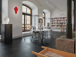 Prodej obchodního prostoru, Praha - Karlín, Šaldova, 210 m2