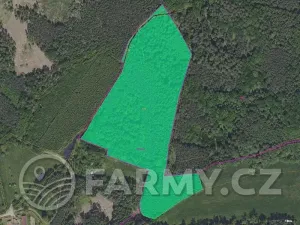 Prodej lesa, Stranný, 45776 m2