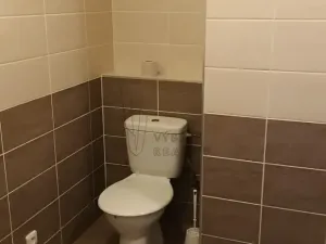 Pronájem bytu 3+kk, Bílina, Teplická, 64 m2