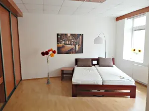 Pronájem bytu 2+kk, Ostrava, Šalounova, 72 m2