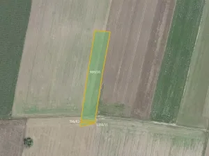 Prodej pole, Městec Králové, 17054 m2