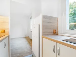 Pronájem bytu 1+1, Brno, náměstí SNP, 27 m2