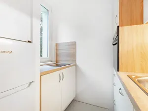 Pronájem bytu 1+1, Brno, náměstí SNP, 27 m2