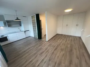 Pronájem bytu 1+kk, Praha - Krč, Murgašova, 42 m2