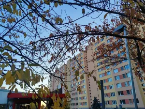 Prodej bytu 3+kk, Praha - Troja, Lublinská, 67 m2