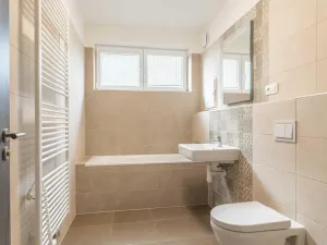 Prodej bytu 1+kk, Heřmanova Huť, U Pondu, 35 m2