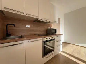 Pronájem bytu 1+kk, Slaný, Lázeňská, 35 m2