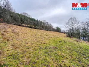 Prodej pozemku pro bydlení, Sušice - Nuzerov, 2649 m2