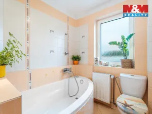 Prodej činžovního domu, Ústí nad Labem - Krásné Březno, Janáčkova, 250 m2