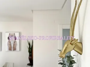 Prodej vily, Torrevieja, Španělsko, 100 m2