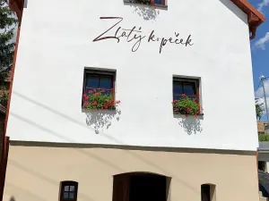 Prodej vinného sklepa, Čejkovice, 66 m2