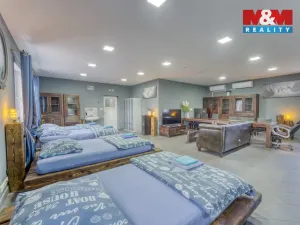 Prodej obchodního prostoru, Stružná, 216 m2