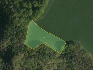 Prodej pole, Třemošnice, 20905 m2