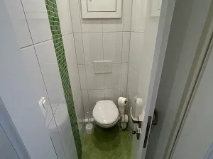 Pronájem bytu 2+kk, Brno, Křídlovická, 53 m2
