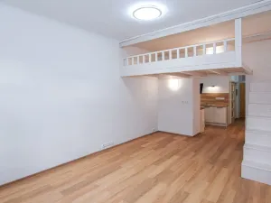 Pronájem bytu 1+kk, Praha - Hradčany, Keplerova, 39 m2