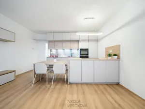 Pronájem bytu 3+kk, Brno, Rybářská, 63 m2