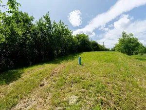 Prodej zahrady, Střelice, 931 m2