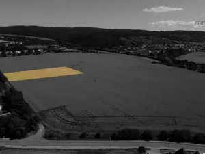 Prodej pozemku pro bydlení, Viničné Šumice, 1648 m2