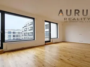 Pronájem bytu 4+kk, Praha - Nusle, Bělehradská, 116 m2