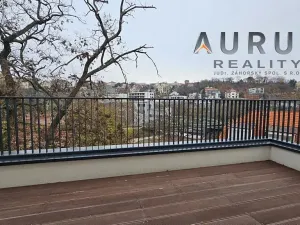 Pronájem bytu 4+kk, Praha - Nusle, Bělehradská, 116 m2