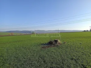 Prodej pozemku, Veverské Knínice, 2614 m2